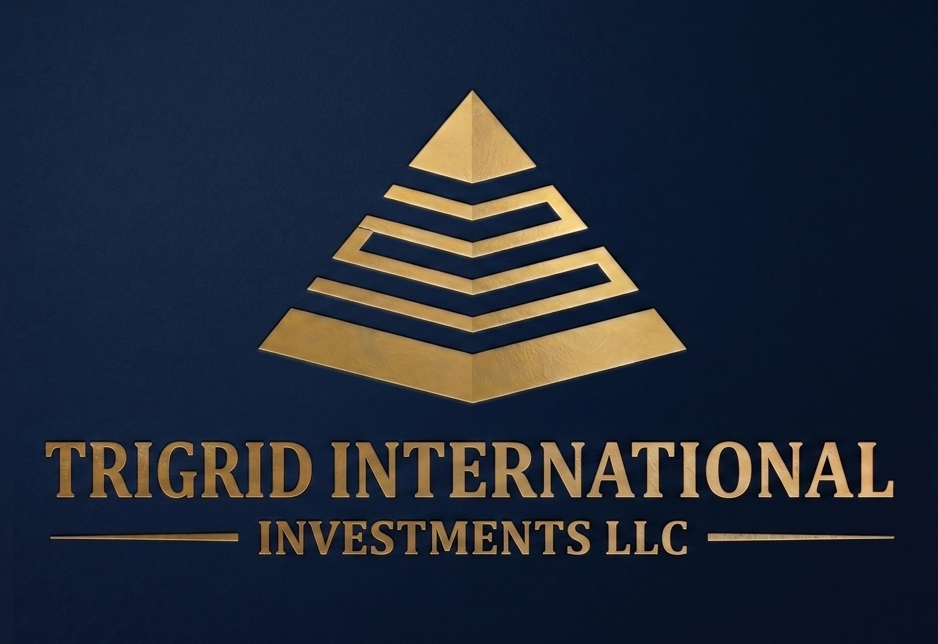Trigrid International Investments LLC